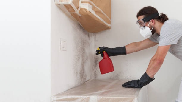 Professional Crawl Space Mold Removal technician working in Colonia, NJ
