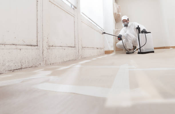 24/7 Emergency Crawl Space Mold Removal experts in Colonia, NJ